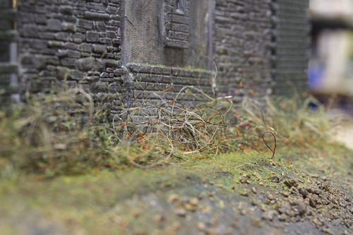 Wwscenics loose weeds for - wwscenics,